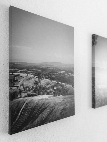 Lot De 3 Posters Abstrait - Feuilles Vertes - Peinture Sur Toile - Impression Murale - Pour Salon Chambre Sans Cadre 50x70cm - Maison